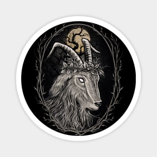 Black Phillip - The Witch Magnet